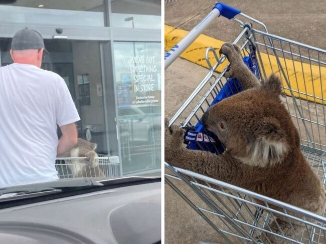 ‘Get her out’: Shocking sight in Aldi trolley