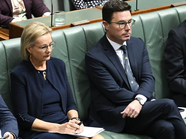 Sussan Ley and David Littleproud during Question Time at Parliament House earlier this year. Picture: Martin Ollman