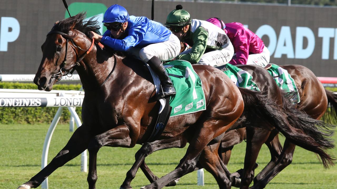 Anamoe can record his eighth Group 1 win in the Chipping Norton Stakes. Picture: Grant Guy