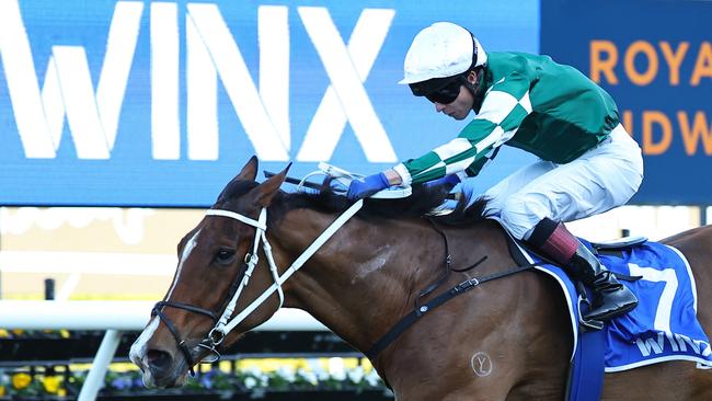 Via Sistina was an impressive winner in the Winx Stakes. Picture: Jeremy Ng-Getty Images