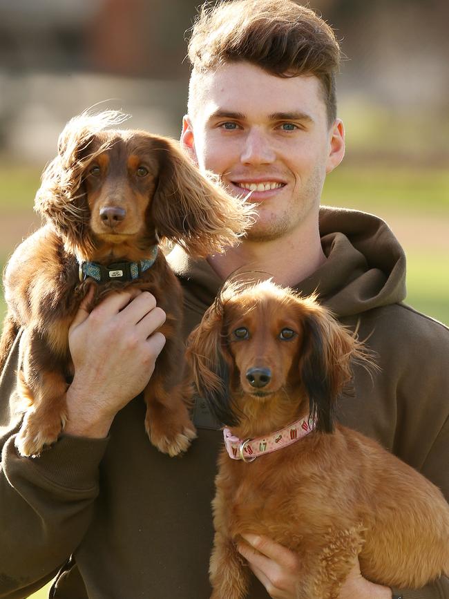 St Kilda’s Blake Acres with his dachshunds Harley and Lola. Picture: Michael Klein