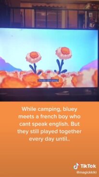 Mum shares Bluey episode that made her cry