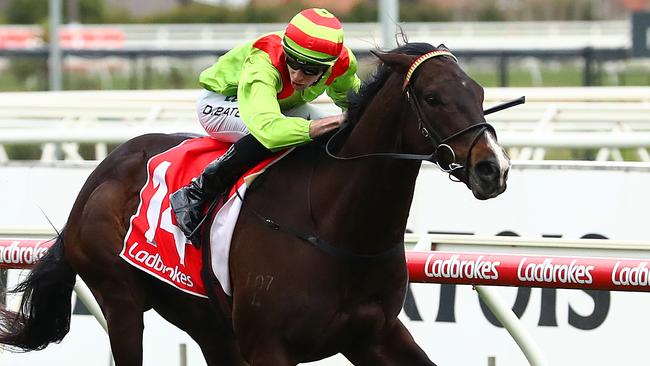 Begood Toya Mother will need to win the Orr or Futurity Stakes to run in the All-Star Mile. Picture: Getty Images