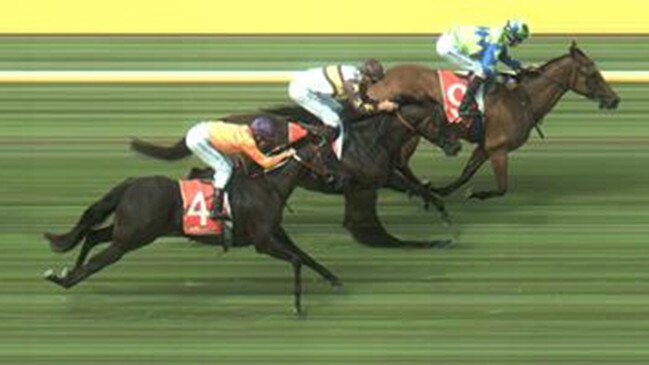 Darren Weir trained Congratulate (4) runs 5th at Mornington. Picture: Supplied 