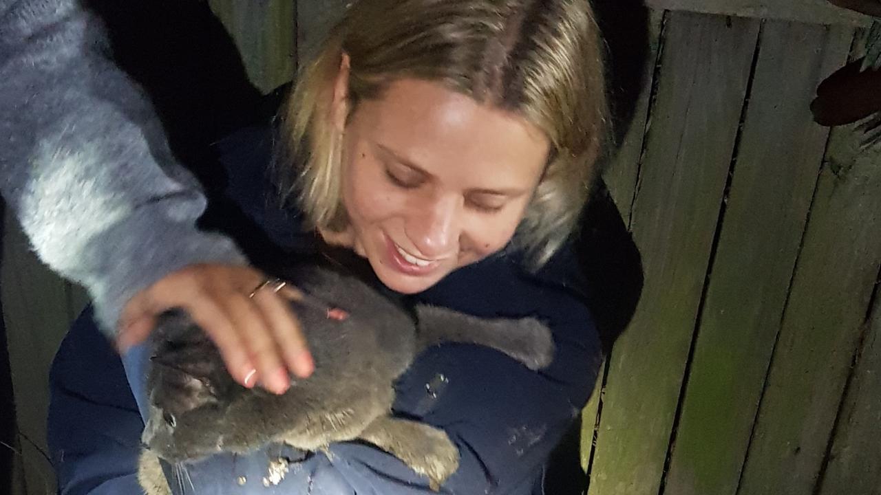 Warriewood: Narrabeen firefighters dig deep to save beloved family pet ...