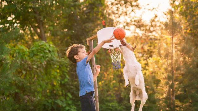 10 basketball hoops to inspire your mini Shaquille