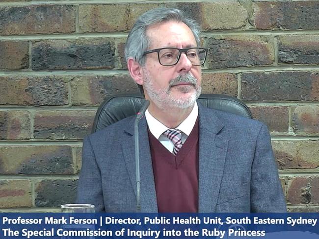 Professor Mark Ferson appears at the inquiry yesterday. Picture: Supplied