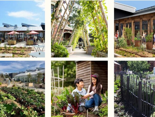 Design inspiration for a cafe and urban food garden from the master plan.