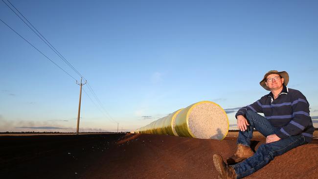 Holistic approach: Integrated pest management plays a key role at the Withams farm.