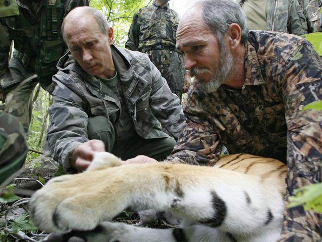 Even Vladimir gets it wrong sometimes. Tiger in picture ... tick. Uglier bloke next to you ... tick. Shirt on ... bad. Picture: AP Photo/RIA-Novosti, Alexei Druzhinin