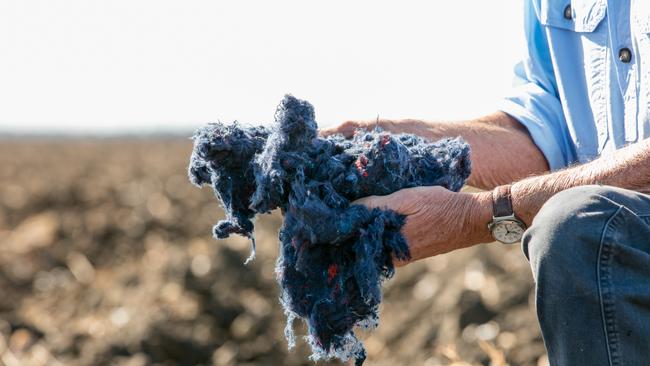 Goondiwindi Cotton founder Sam Coulton with shredded cotton. Picture: Melanie Jenson