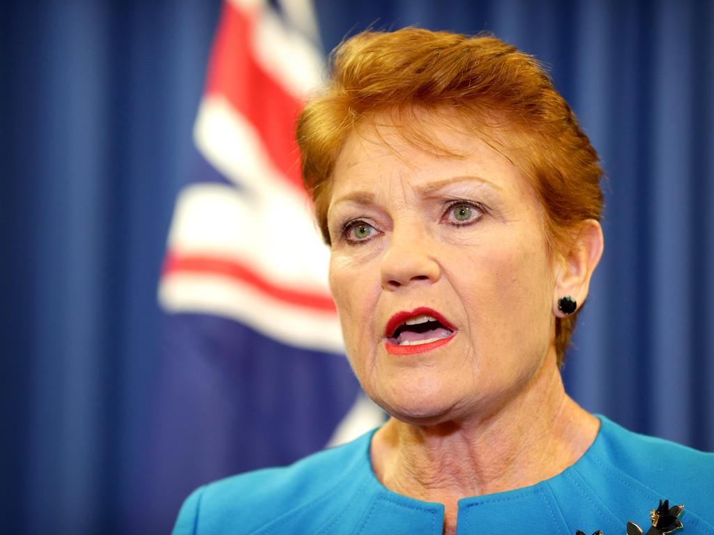 Pauline Hanson could lose her Senate seat. Picture: Steve Pohlner