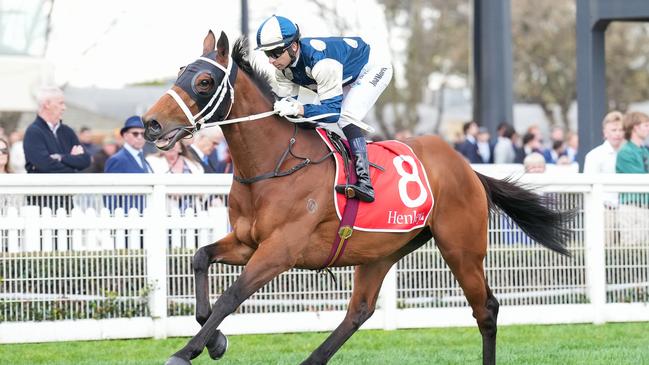 Last start Group 1 Underwood Stakes winner Buckaroo lines up in Saturday’s Turnbull Stakes. Photo: Scott Barbour/Getty Images.