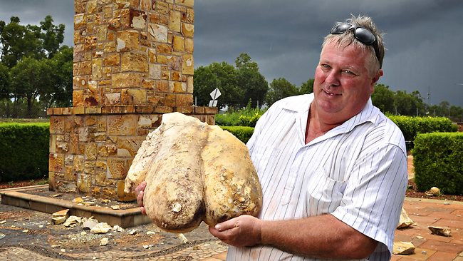 Lightning blows breasts off NT's iconic Venus de Milo statue   — Australia's leading news site