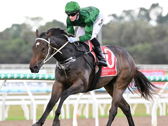 Smart two-year-old Pareto cruises to victory on debut under jockey Kyle Wilson-Taylor. Picture: Grant Peters - Trackside Photography