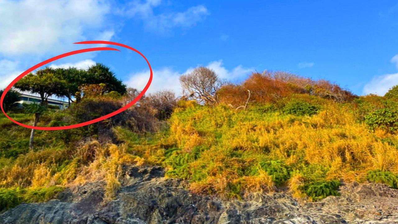 The Straddie hotel overlooks Cylinder Beach where more than 20 trees have died. Picture: Contributed