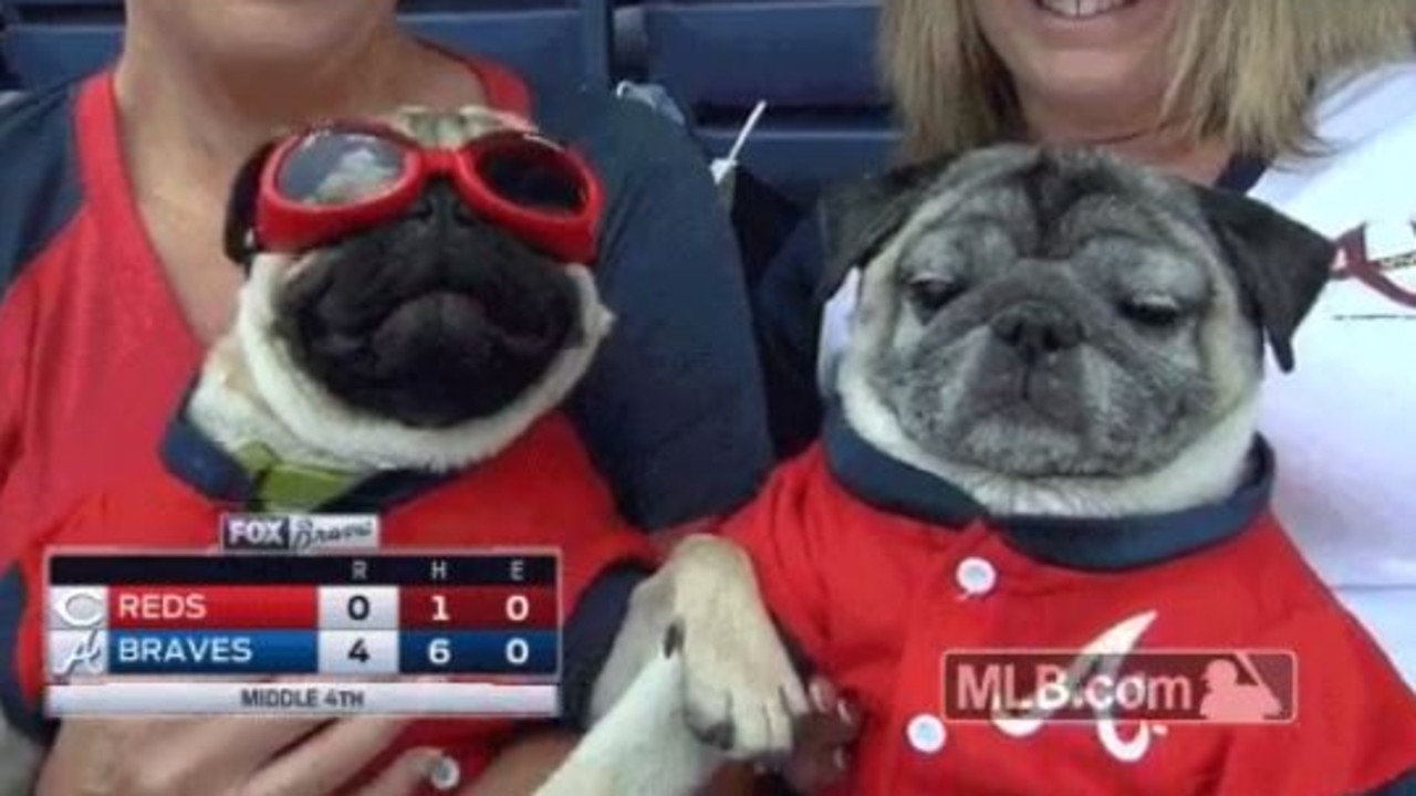 Cincinnati Reds - Cuteness overload today at our Reds