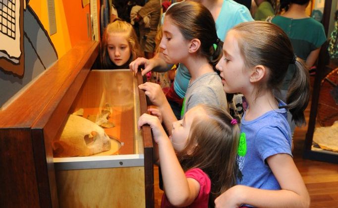 TURTLE TOUR: The NewsMail's Liz Carson with her daughters Kayla Nielsen, Renee Nielsen, Amy Nielsen and Brooke Nielsen. Picture: Mike Knott