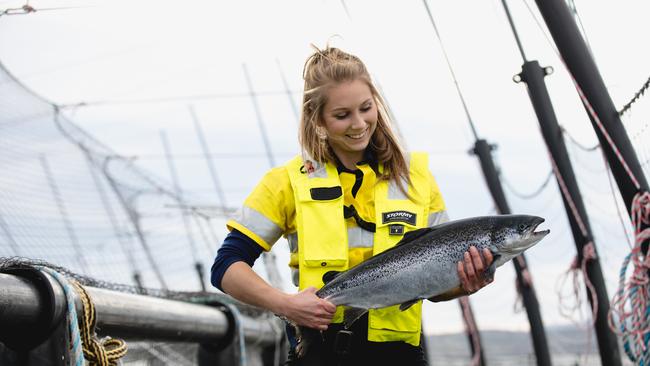 Huon Aquaculture worker