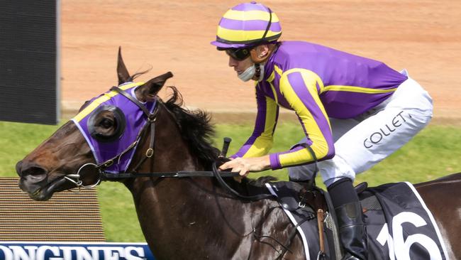 Jason Collett rides Etheridge for trainer John Thompson. Picture: Getty Images