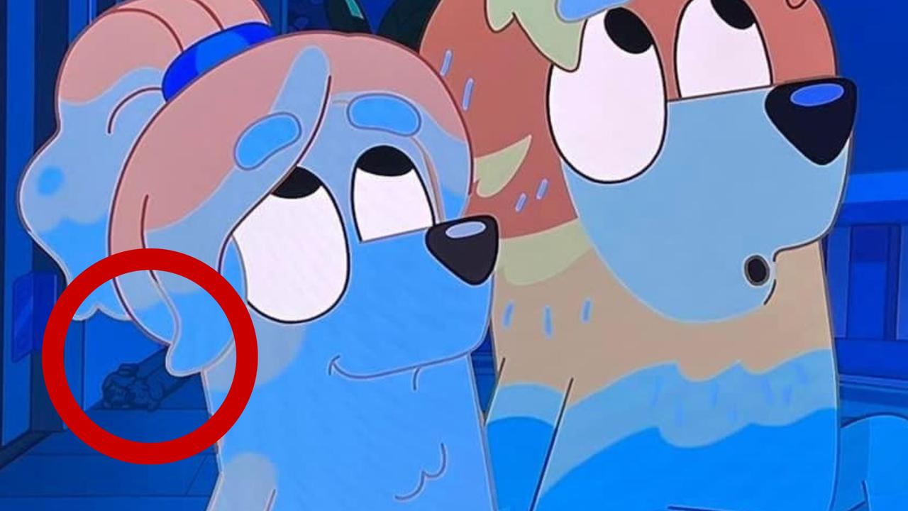 The secret long dogs hidden in Bluey episodes that drive adult fans crazy -  ABC News