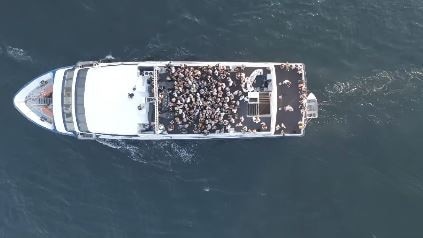 Bondi Lines boat party where punters can play 2-Up. Picture: Instagram