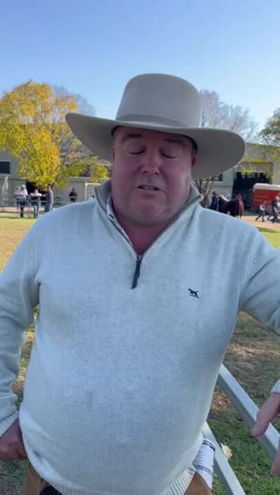 Hereford Australia chairman Marc Greening's take on Wodonga cattle show