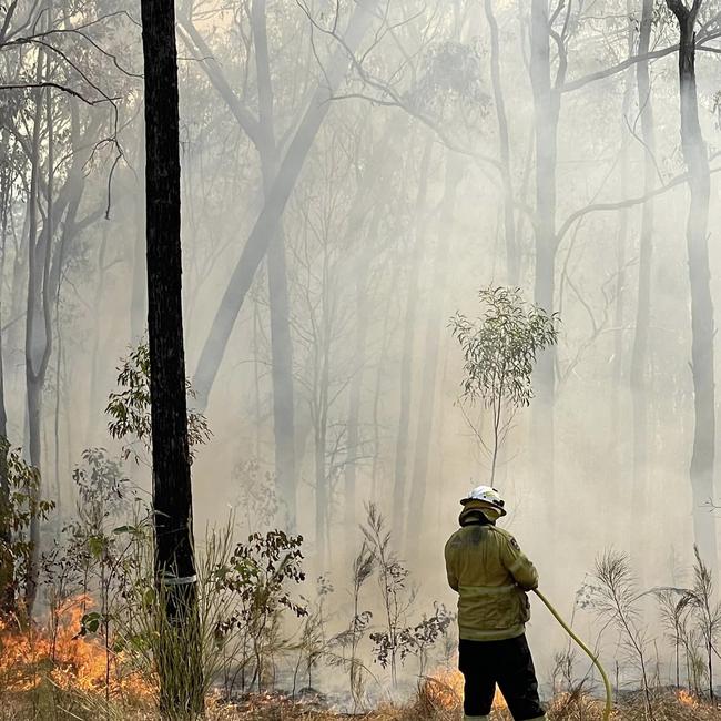 Nymboida bushfire. Picture: Pauline Quester