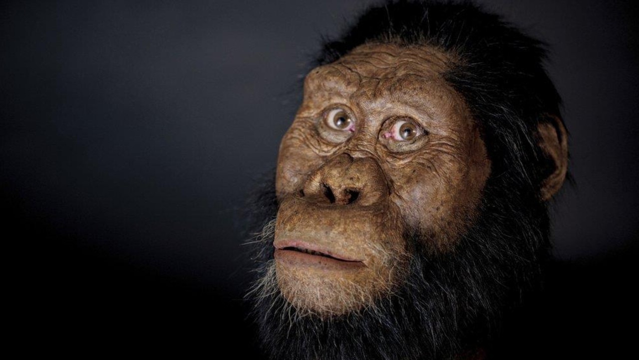 Facial reconstruction of fossilised skull of Lucy’s ancestor | KidsNews