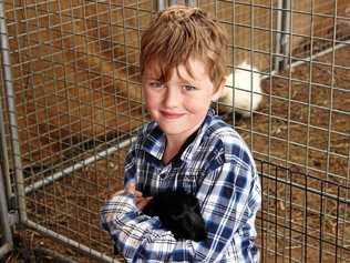 ABOVE, SHOW TIME: Barnyard Babies will return to Wallumbilla Show this year, allowing children to get up close with baby animals. Picture: Contributed