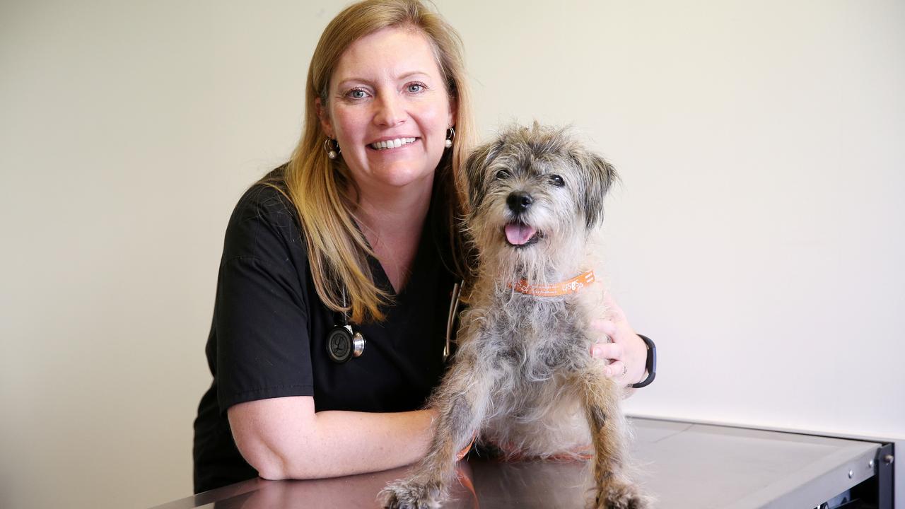 Dr Nguyen, with Uig, said her work was deeply satisfying and rewarding. “ I feel incredibly lucky and very privileged to be able to do this.” Picture: Tim Hunter.