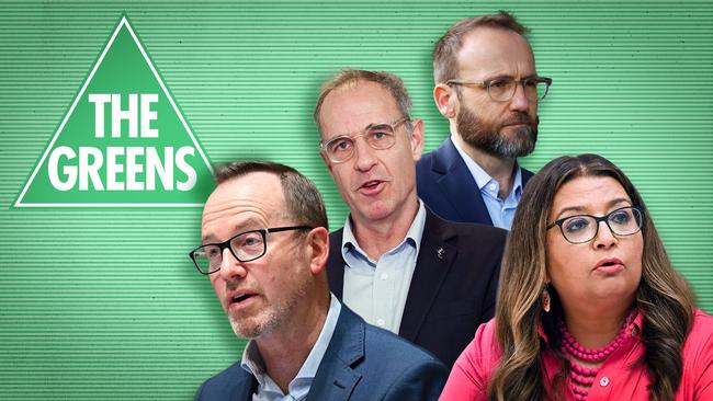 David Shoebridge, Nick McKim, Mehreen Faruqi and Adam Bandt.