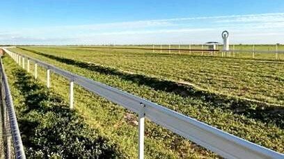 The Birdsville racetrack is currently a lush green due to recent floodwaters and rain in the surrounding channel country. Picture: Contributed