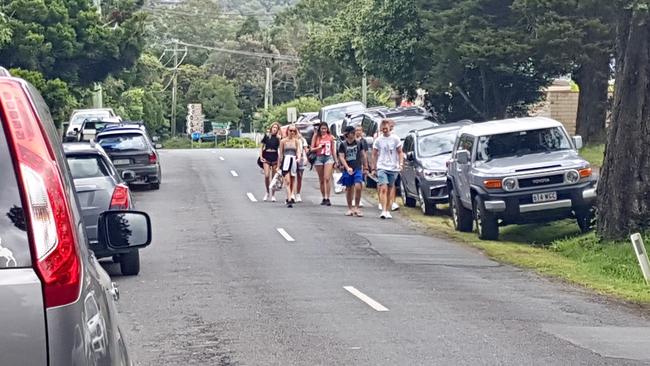 Crowds of people were spotted at Springbrook National Park.