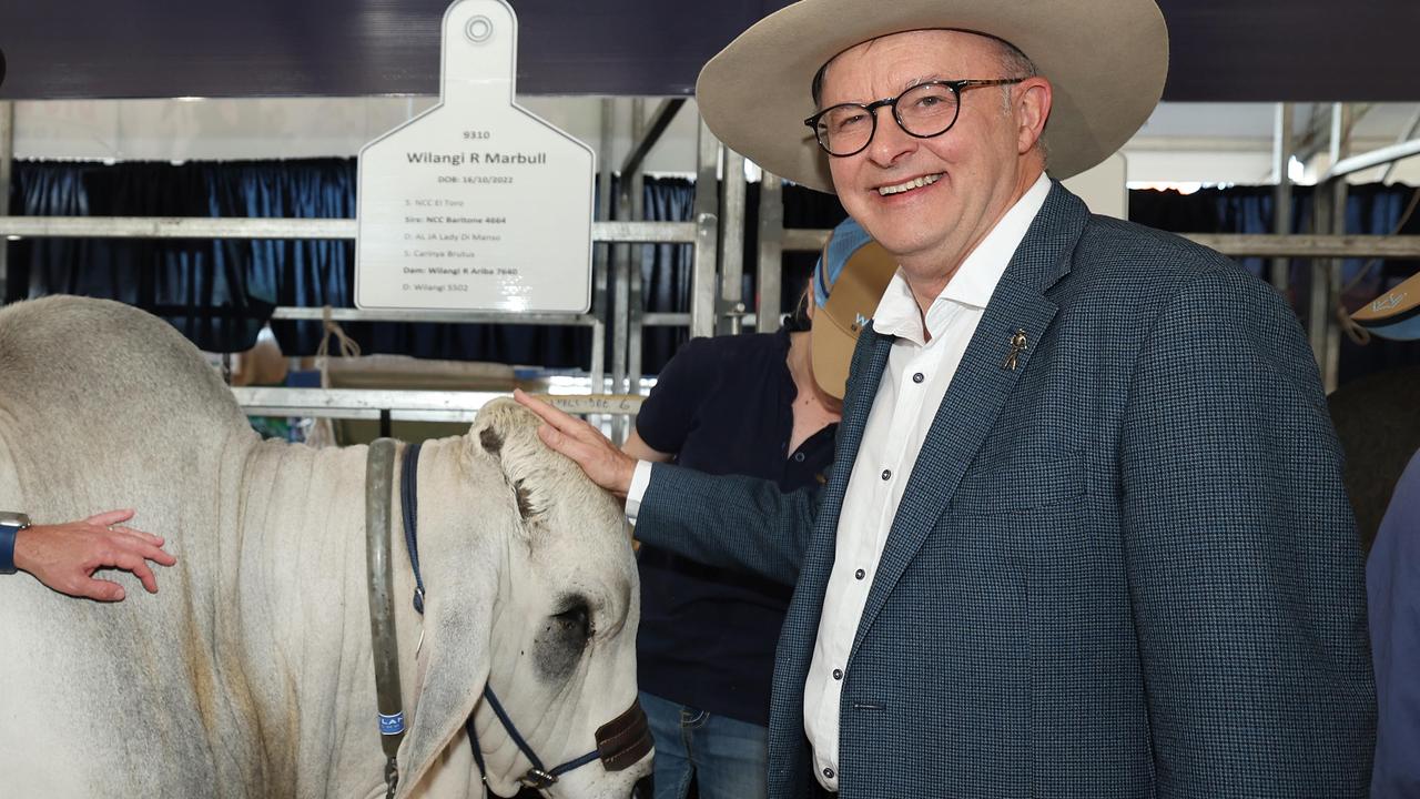 Prime Minister Anthony Albanese at last year’s Beef Week in Rockhampton