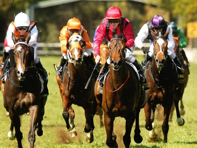 Way Too Good ridden by Glyn Schofield (red/black) wins race 1 during Warwick Farm midweek races at Warwick Farm Racecourse. pic Mark Evans