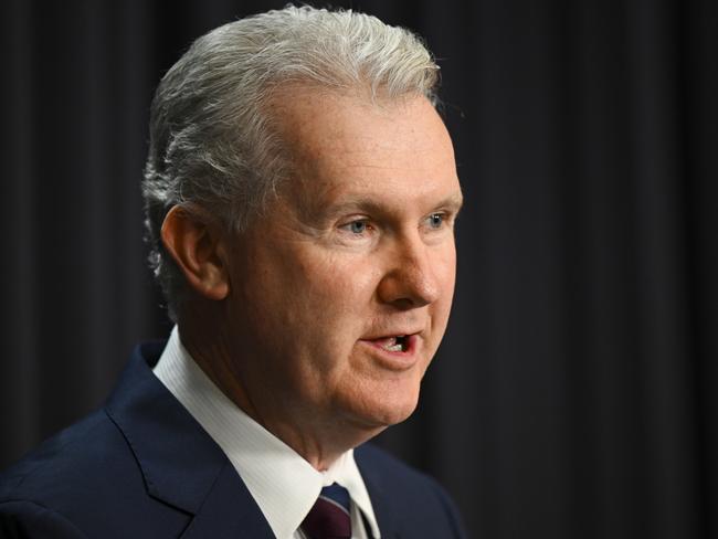 Employment Minister Tony Burke. Picture: AAP