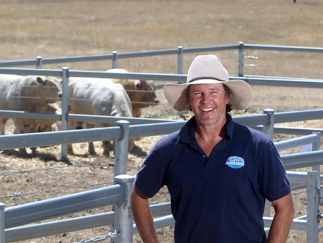 Mount William Charolais sale, Mt William, 24th Annual on property bull & female sale, Rob Abbott,     Picture Yuri Kouzmin