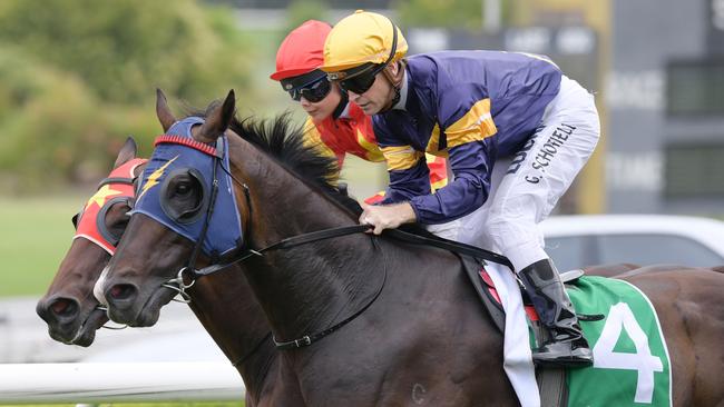 Loyalty Man should get a perfect run and be right in the finish on Saturday.