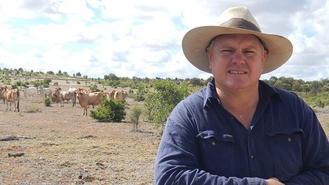 Clarke Creek cattle producer David Hill. Picture: Elizabeth Hill