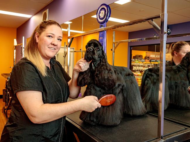 Mickleham Local, Janelle Austin, Grooming Development Manager, won Best in Group and placed 1st in Gundog Masters Class. She is pictured with her American Cockerspaniel Rocky at work.