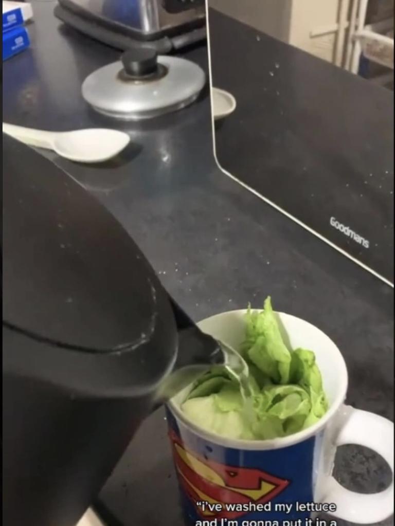 TikTok users are claiming boiled lettuce water helps them sleep. Picture: TikTok/Shapla Hoque.