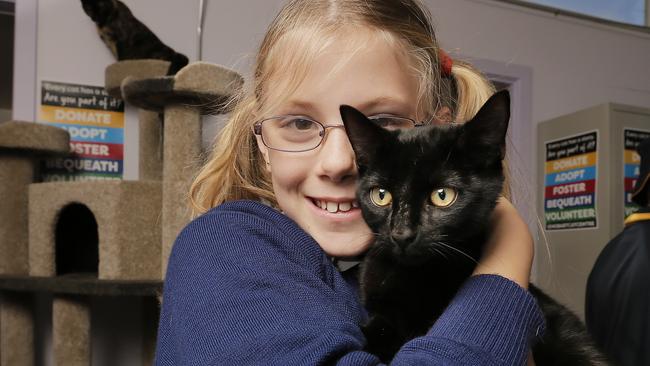 Ten Lives, formerly known as Hobart Cat Centre, launches Edu.Cat