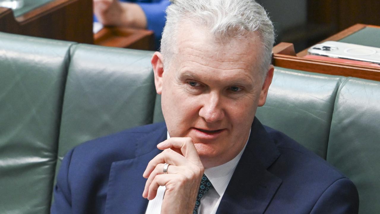 Burke under fire for lack of visa cancellations