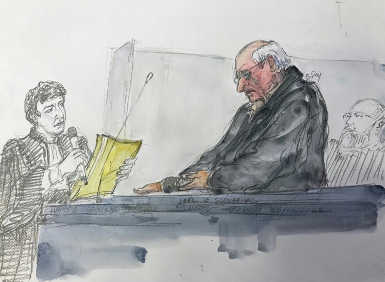 Twenty-year term sought for French surgeon in mass patient abuse trial