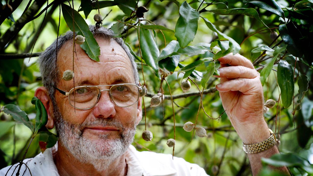 Ian McConachie, 73, with rare Jansenii Macadamia tree on his Warrawee Plantation at Wolvi.