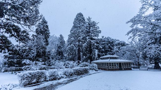 Heavy snowfall is pictured in the Orange Botanical Gardens in mid-western NSW after the region was blasted with freezing temperatures in June 2021. NCA NewsWire /Troy Pearson