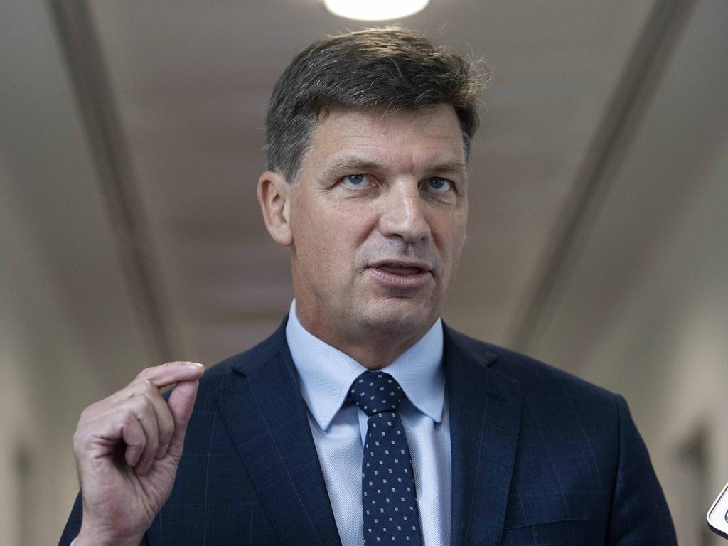 Angus Taylor says the government won’t ‘declare war on industry’ to cut emissions. Picture: NCA NewsWire / Gary Ramage