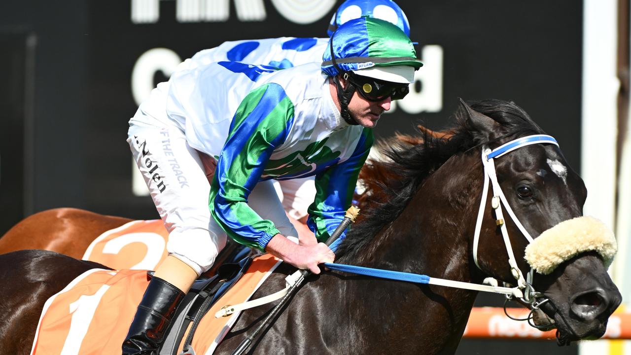 I Wish I Win is set for a bold showing in Friday night’s Manikato Stakes Picture: Vince Caligiuri/Getty Images