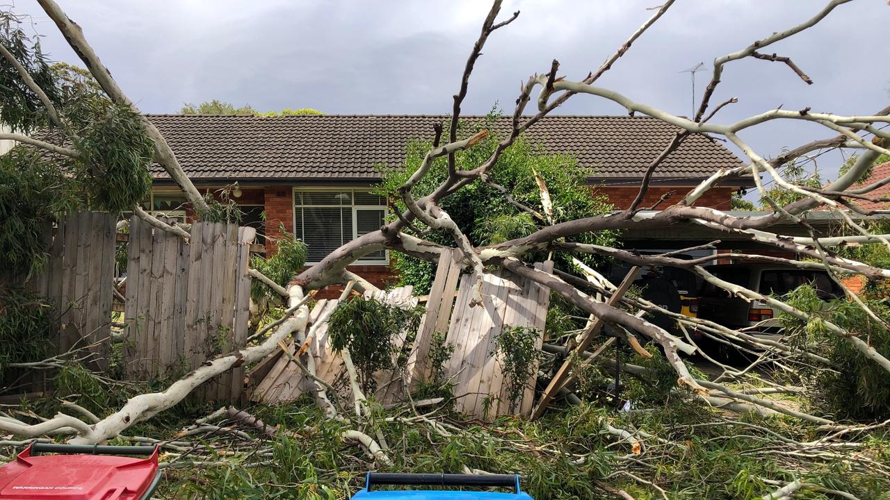 House in Adams Rd Frenchs Forest where fencing destroyed and powerlines in front garden. Picture: Jim O'Rourke